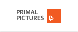 Primal Pictures